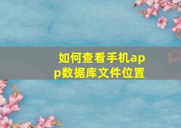 如何查看手机app数据库文件位置