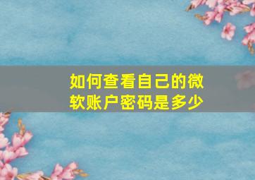 如何查看自己的微软账户密码是多少