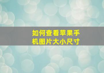 如何查看苹果手机图片大小尺寸