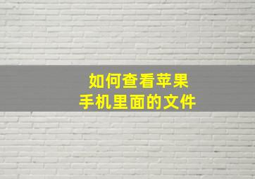 如何查看苹果手机里面的文件