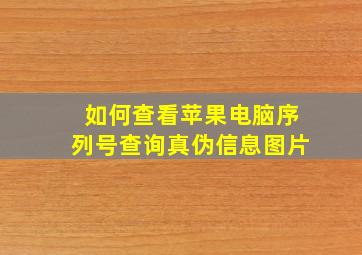 如何查看苹果电脑序列号查询真伪信息图片