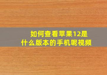 如何查看苹果12是什么版本的手机呢视频