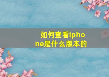 如何查看iphone是什么版本的