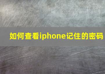 如何查看iphone记住的密码