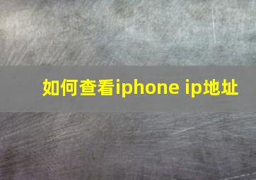 如何查看iphone ip地址