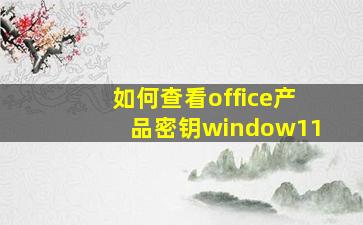 如何查看office产品密钥window11