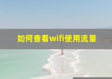 如何查看wifi使用流量