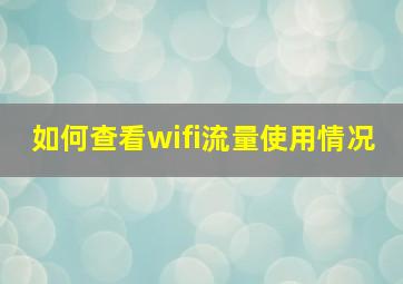 如何查看wifi流量使用情况