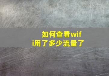 如何查看wifi用了多少流量了