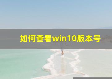 如何查看win10版本号