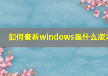 如何查看windows是什么版本