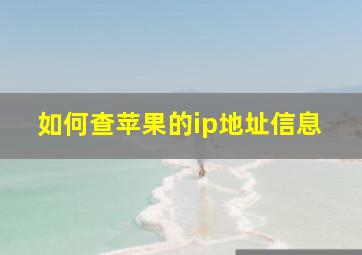 如何查苹果的ip地址信息