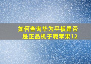 如何查询华为平板是否是正品机子呢苹果12