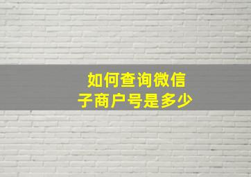 如何查询微信子商户号是多少