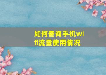 如何查询手机wifi流量使用情况