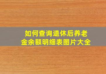 如何查询退休后养老金余额明细表图片大全