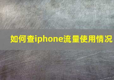 如何查iphone流量使用情况