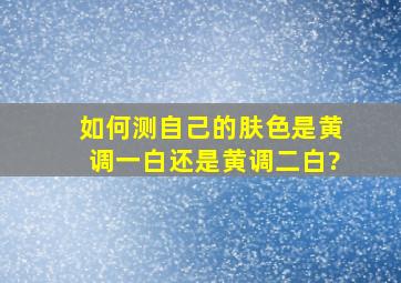 如何测自己的肤色是黄调一白还是黄调二白?