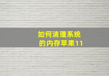 如何清理系统的内存苹果11