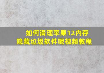 如何清理苹果12内存隐藏垃圾软件呢视频教程