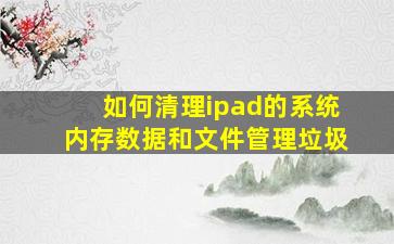 如何清理ipad的系统内存数据和文件管理垃圾