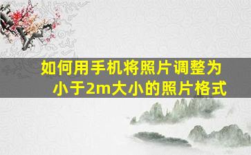 如何用手机将照片调整为小于2m大小的照片格式