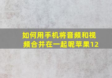 如何用手机将音频和视频合并在一起呢苹果12