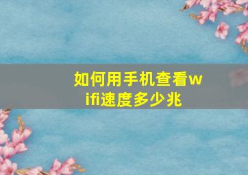 如何用手机查看wifi速度多少兆