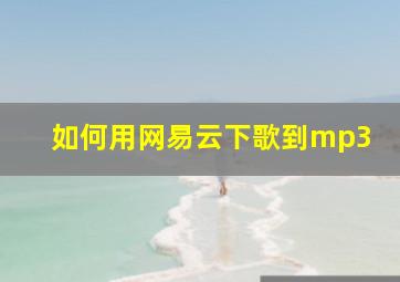 如何用网易云下歌到mp3