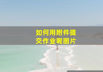 如何用附件提交作业呢图片