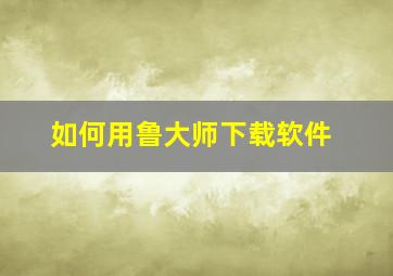 如何用鲁大师下载软件