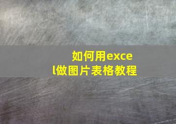 如何用excel做图片表格教程