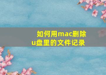 如何用mac删除u盘里的文件记录