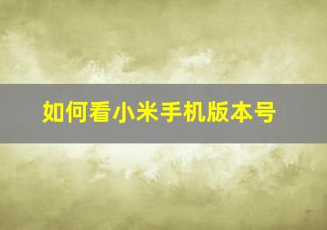 如何看小米手机版本号