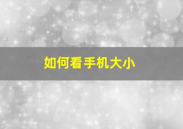 如何看手机大小