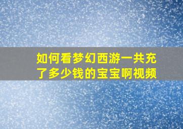 如何看梦幻西游一共充了多少钱的宝宝啊视频