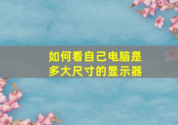 如何看自己电脑是多大尺寸的显示器