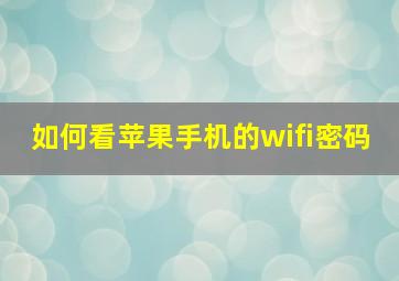 如何看苹果手机的wifi密码