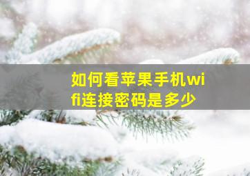 如何看苹果手机wifi连接密码是多少