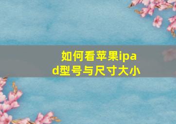 如何看苹果ipad型号与尺寸大小