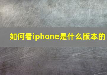 如何看iphone是什么版本的