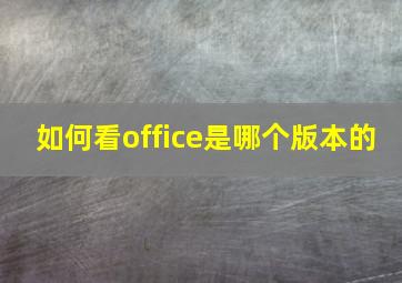 如何看office是哪个版本的