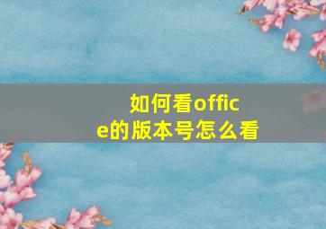 如何看office的版本号怎么看