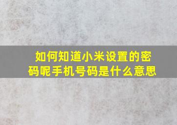 如何知道小米设置的密码呢手机号码是什么意思