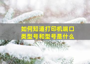 如何知道打印机端口类型号和型号是什么