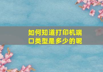 如何知道打印机端口类型是多少的呢