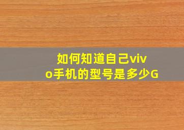 如何知道自己vivo手机的型号是多少G