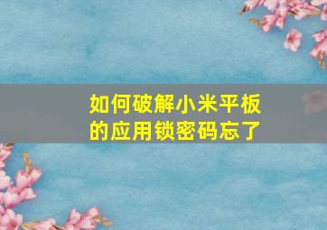 如何破解小米平板的应用锁密码忘了