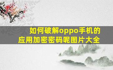 如何破解oppo手机的应用加密密码呢图片大全