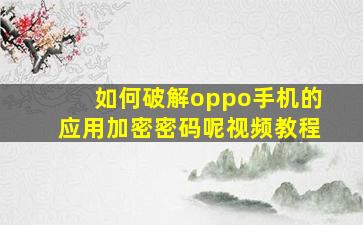 如何破解oppo手机的应用加密密码呢视频教程